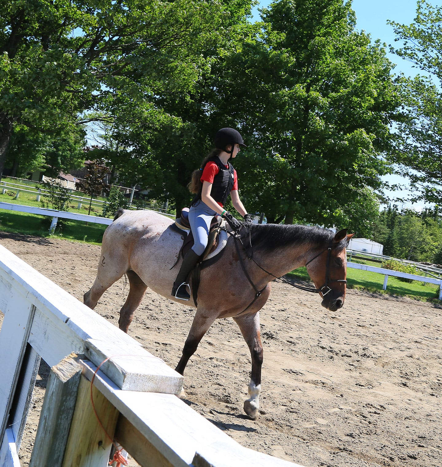 Teen horse riding summer camp in Quebec City
